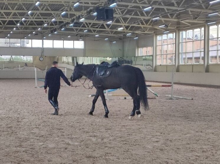     Фото: Архив МК в Питере.
