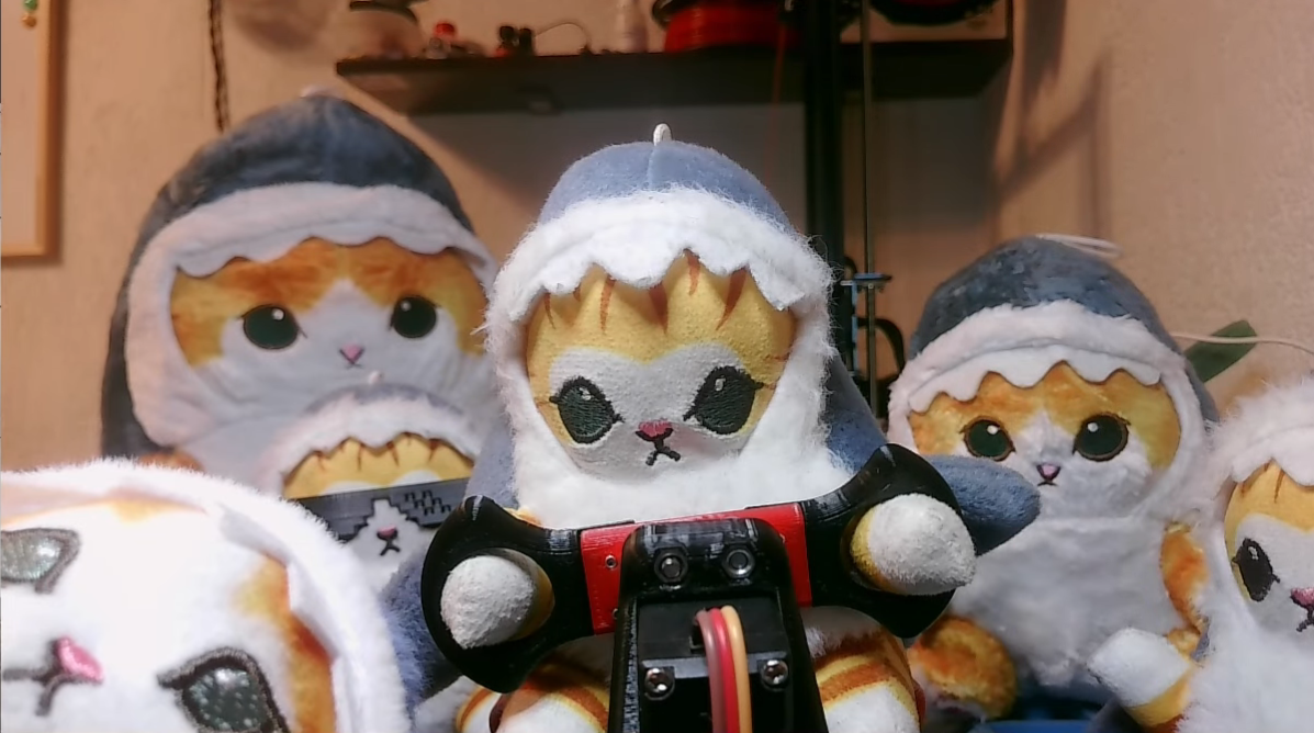 Кошколята играют в гоночки