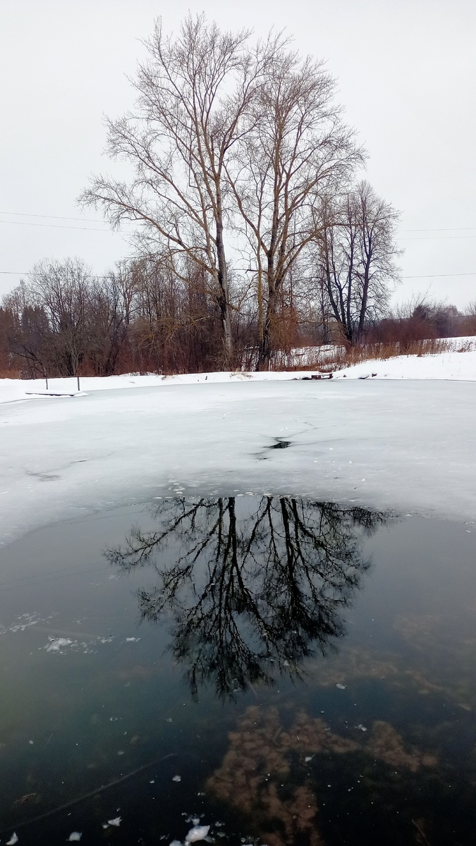 Музей-заповедник "Лудорвай" в Удмуртии