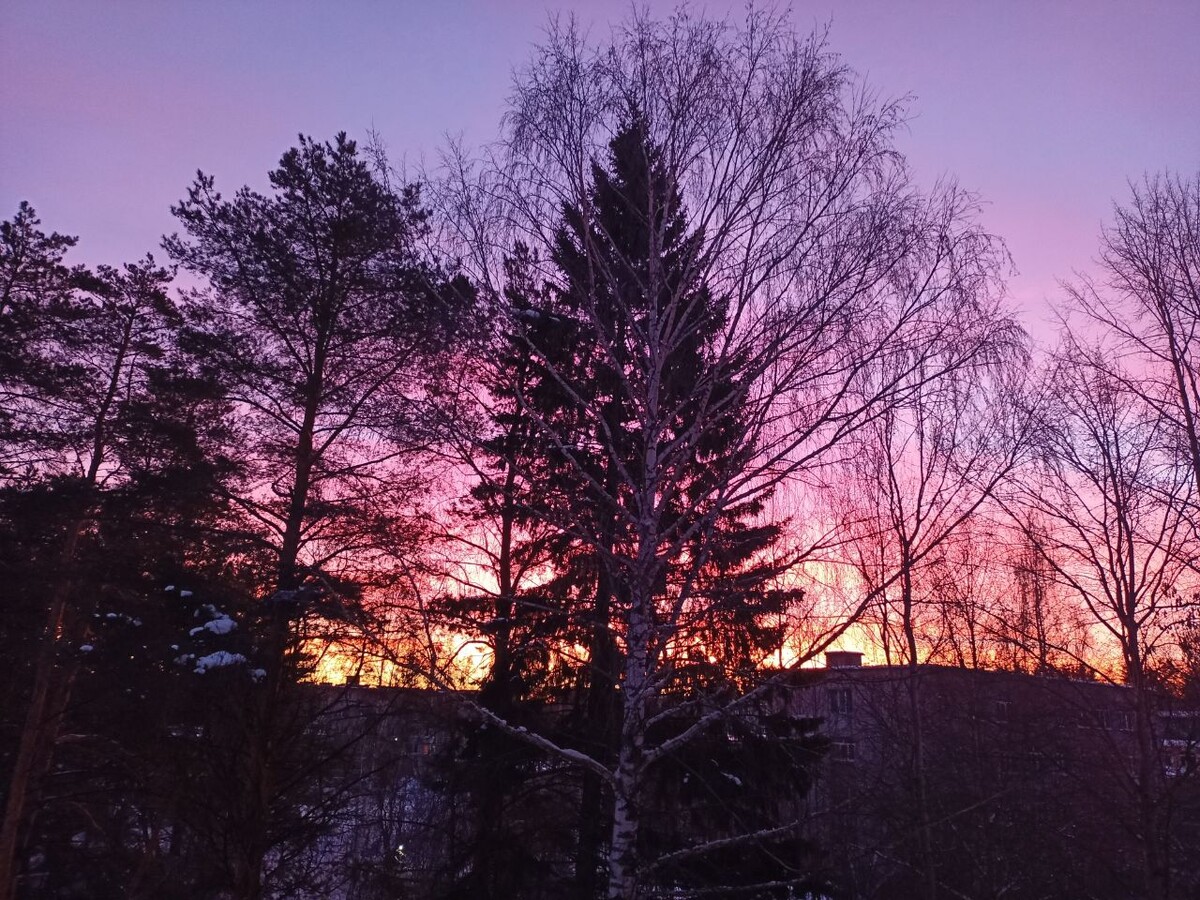 Зимний закат / здесь и далее - фото и видео автора