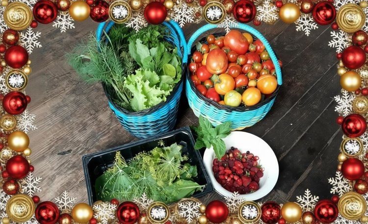    Фото: Лукьянов Дмитрий, AgroXXI.ru