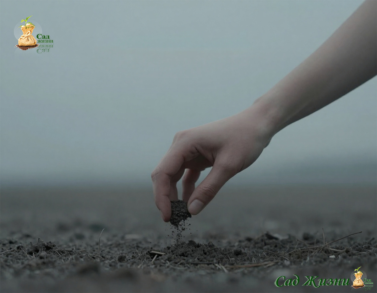 скрытые причины снижения плодородия почвы