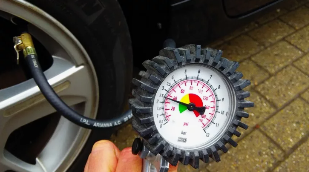 Фото: источник https://clck.ru/3R7dwR