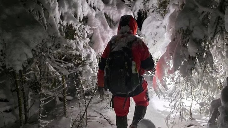 Тепло собачьей преданности: как питомцы спасли хозяев от замерзания в лесу в России.