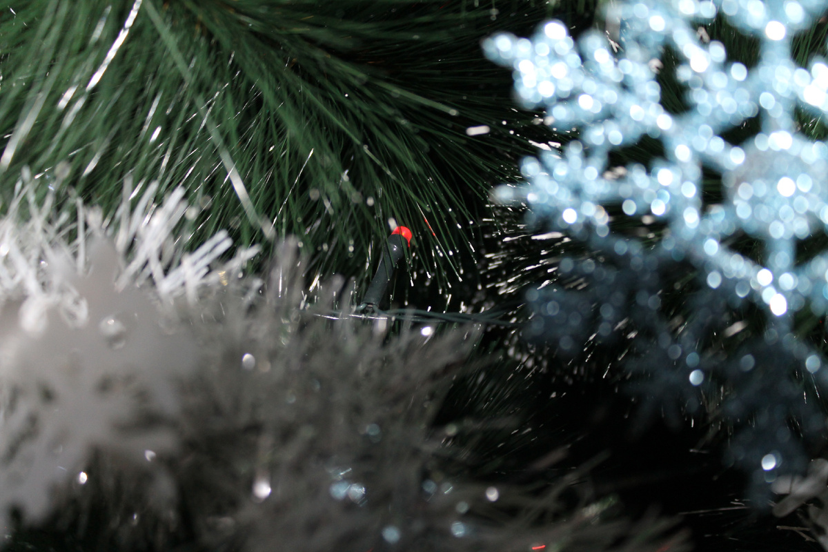 Фото автора.