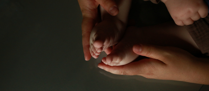    Оксана Шевченко