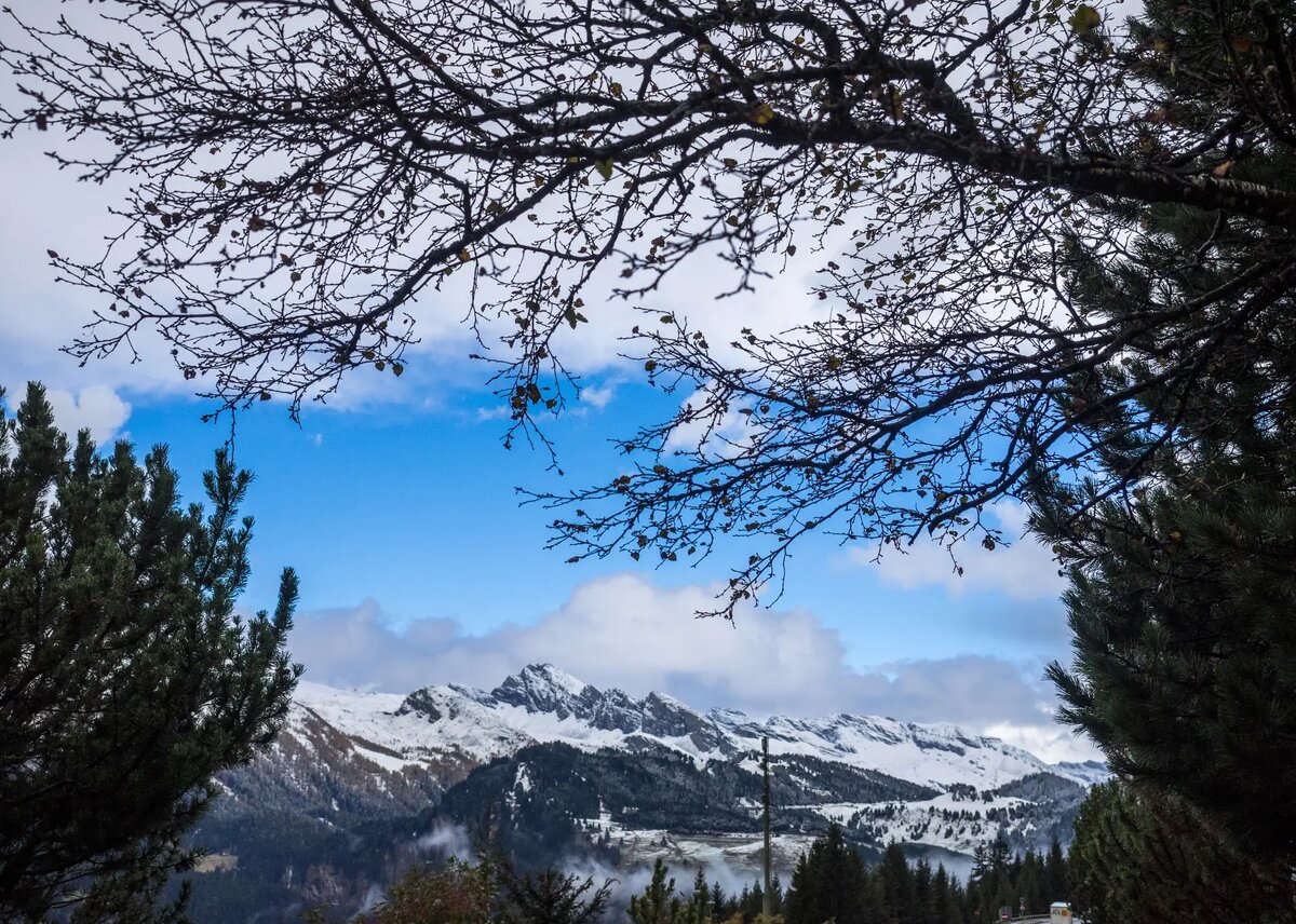     © РИА Новости. Александр Вильф