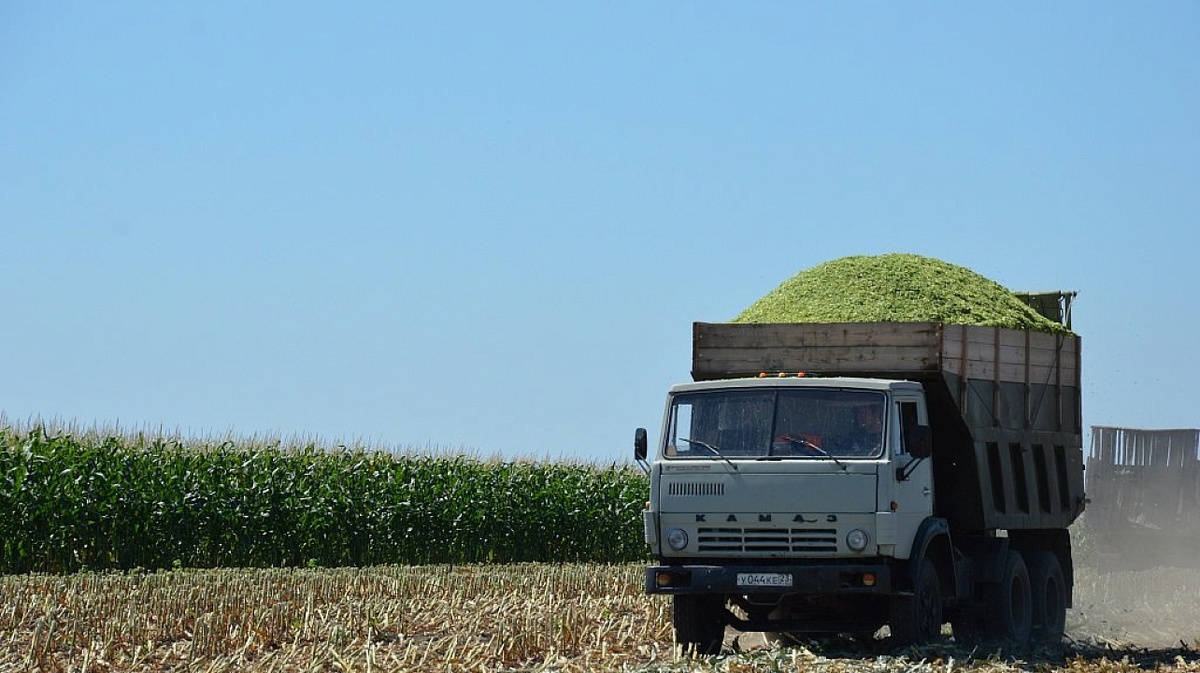 Фото: Пресс-служба администрации Краснодара