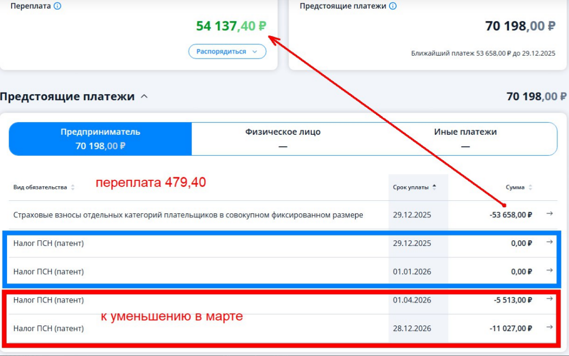 скриншот ИП "1" от 25.12.2025