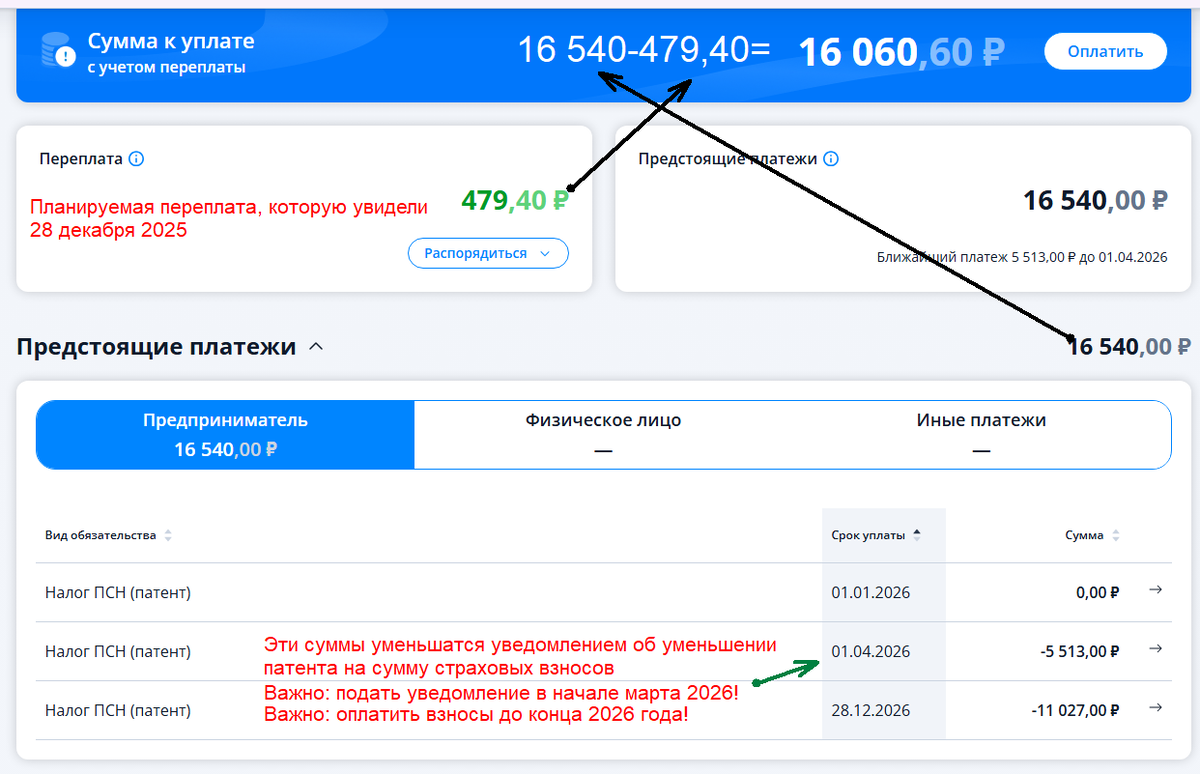 скриншот ИП "1" от 01.01.2026