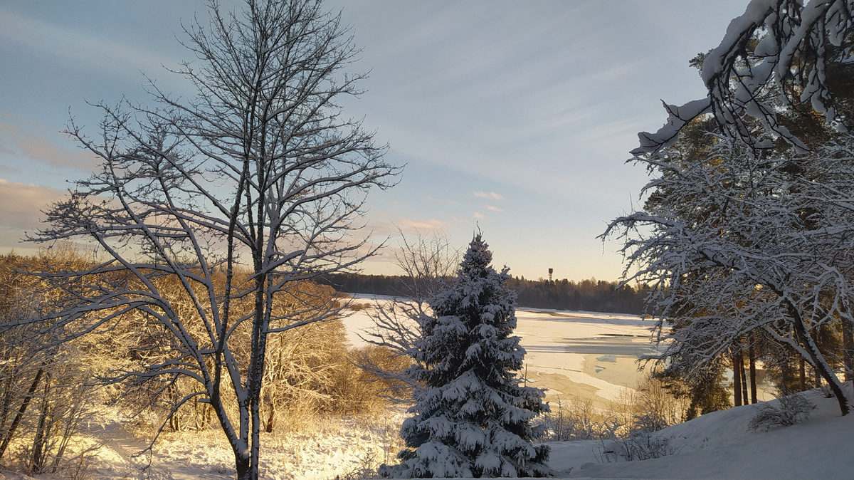 Вид из окна.