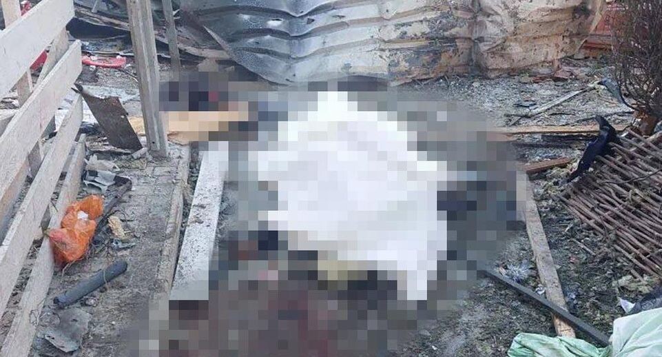    Владимир Сальдо / Telegram