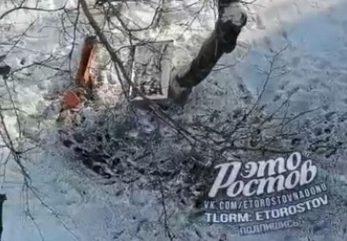 Иллюстрация: скриншот видео/ Это Ростов! Новости/ vk.com