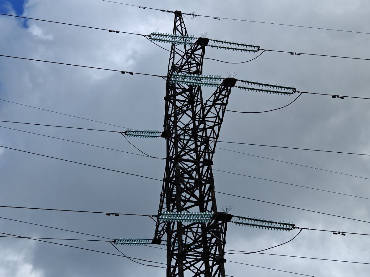    Фото: Юрий Серебренников/BFM Кубань