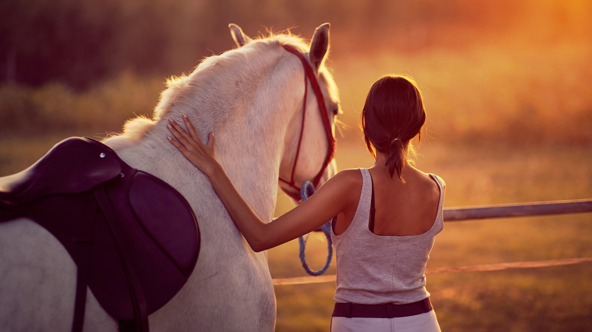     Фото: Lucky Business/Shutterstock/FOTODOM Эти животные мастерски считывают и интерпретируют язык тела, мимику и даже интонацию голоса. Они могут различать тончайшие изменения в нашем настроении