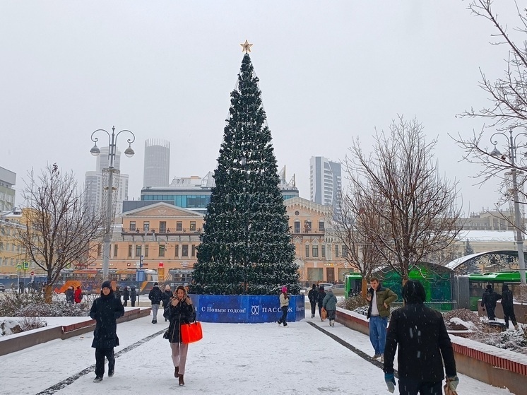     Елка около Пассажа. Фото: Николай Курилов / МК-Урал.