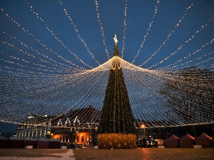     Фото: телеграм-канал администрации Выборгского района.