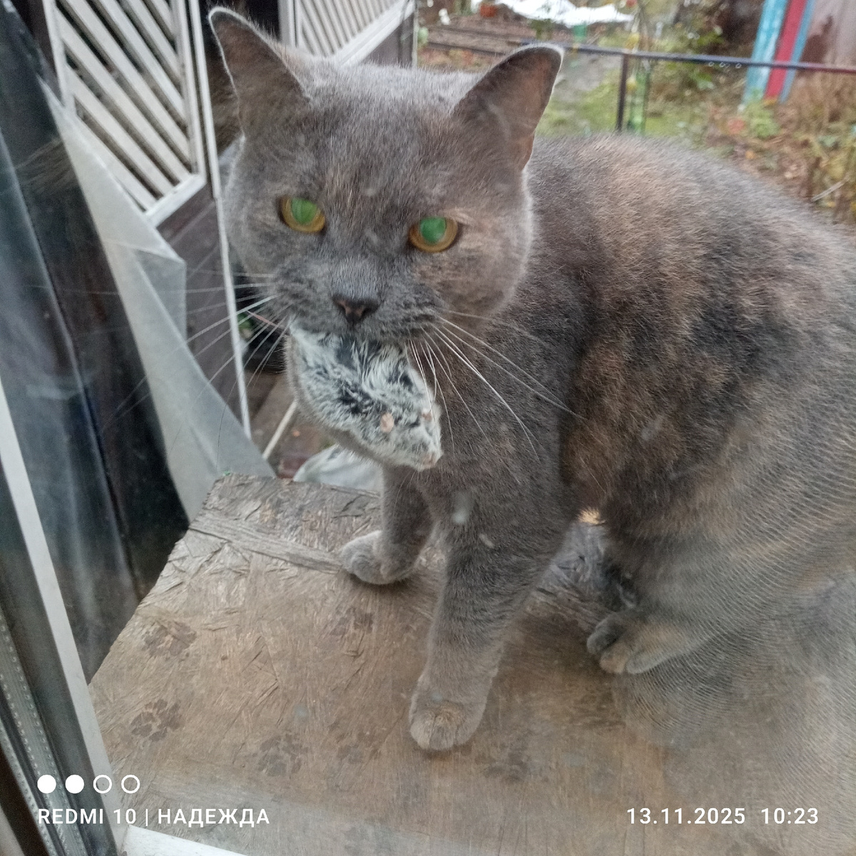 Завтрак в постель. 