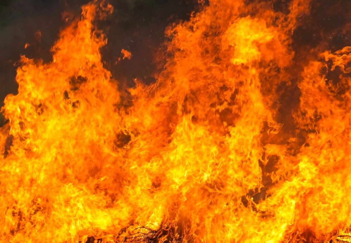     Изображение от ilovehz на Freepik