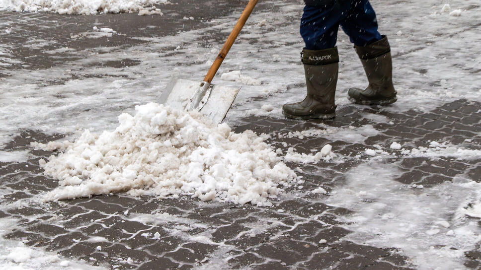 Фото: Егор Снетков / Коммерсантъ