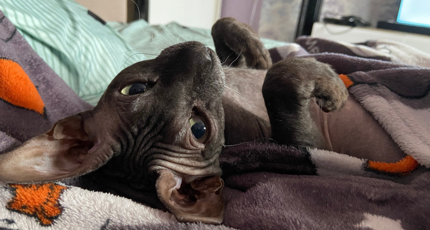    фото из архива редакции