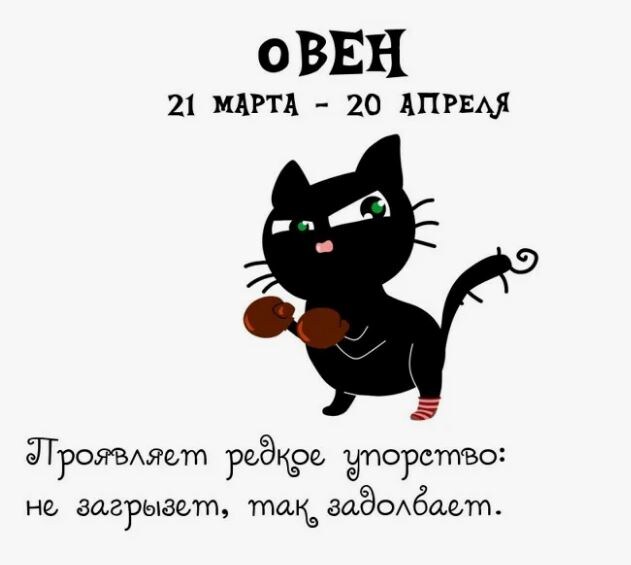 Инет. Свобдный доступ