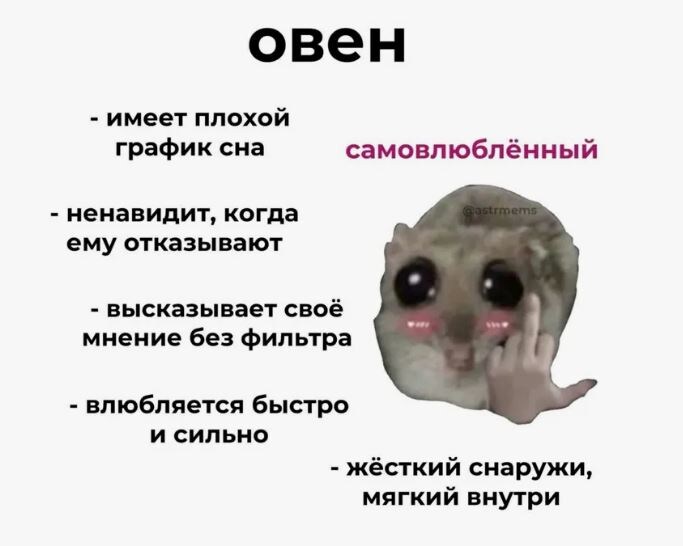 Инет свободный доступ.
