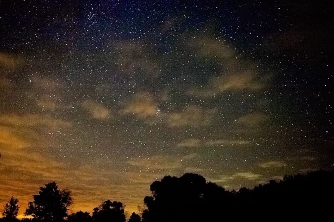 Фотография из интернета 