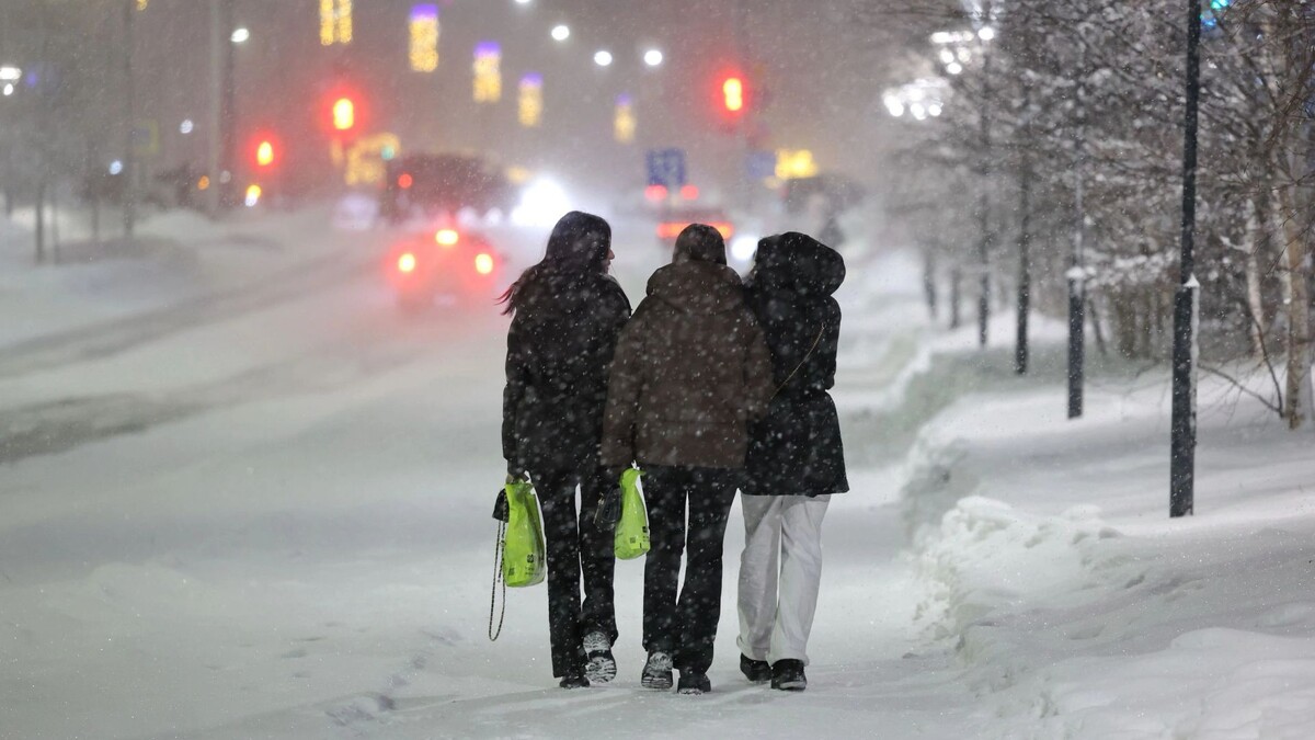    Фото: Андрей Ткачев/«Ямал-Медиа»