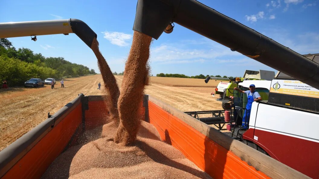    Фото: царьград.