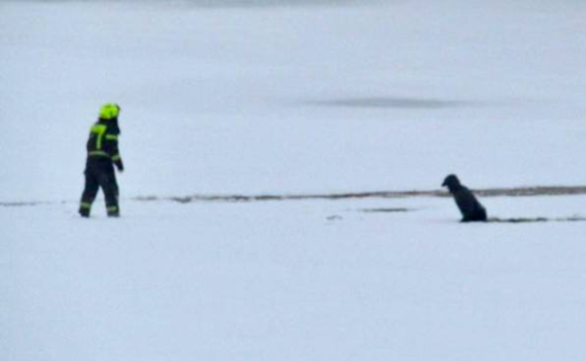    © МЧС Ленобласти