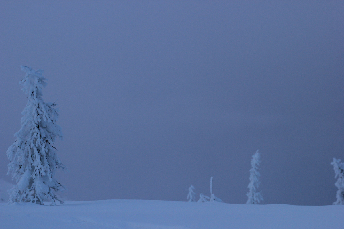 Фото автора канала "Удивительный мир живой природы "