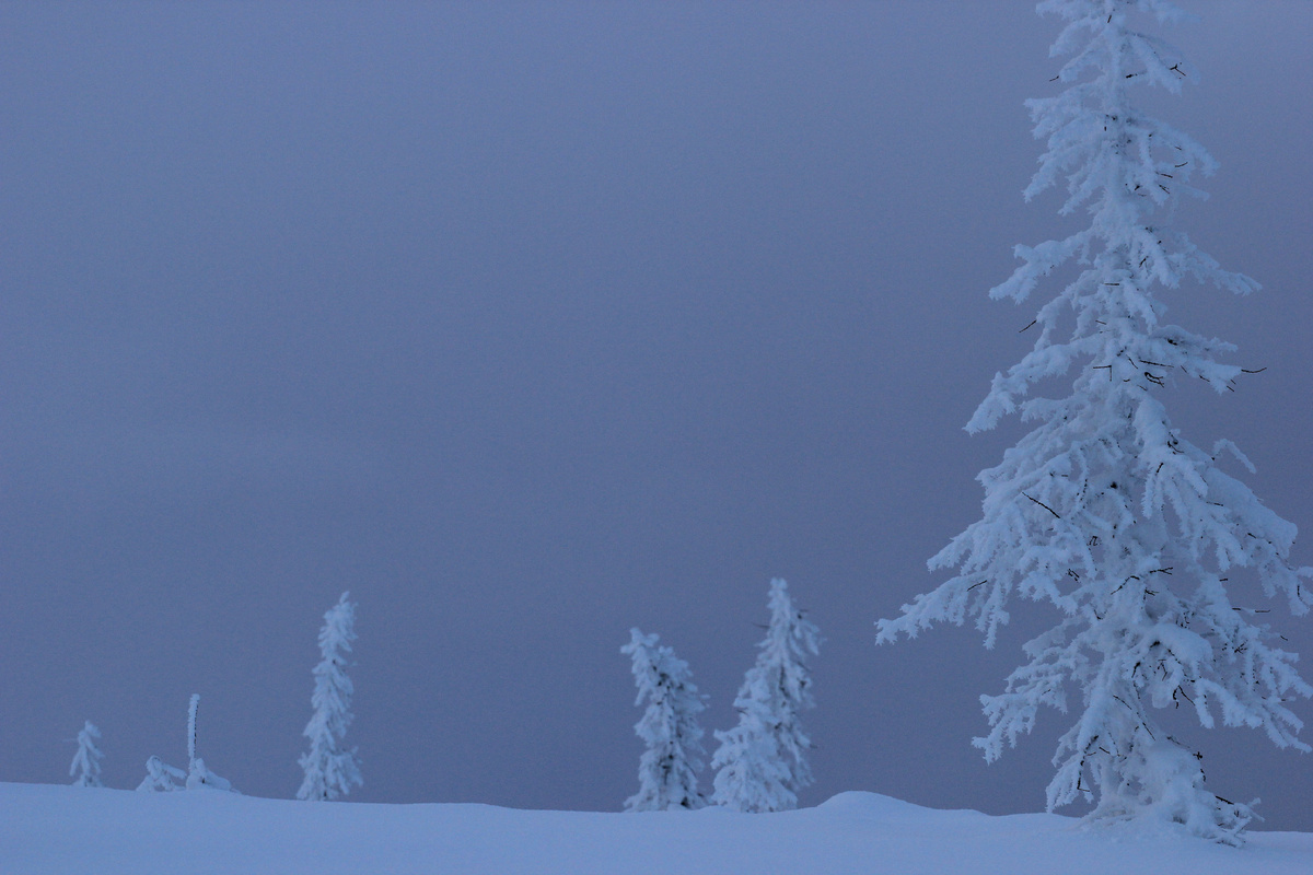 Фото автора канала "Удивительный мир живой природы "