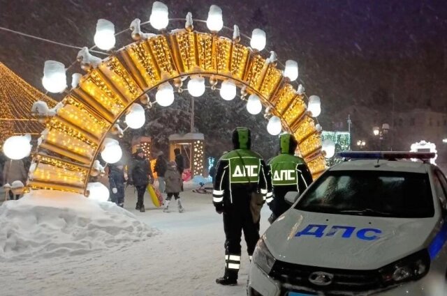    Фото: ГУ МВД России по Челябинской области