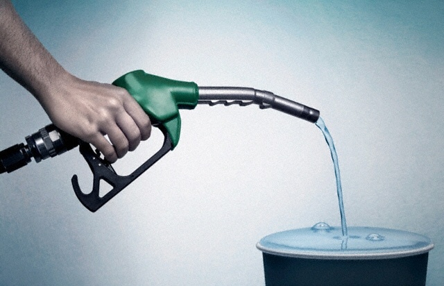    Фото: flickr.com/José Luís Agapito/CC BY-ND 2.0 Алексей Иванов