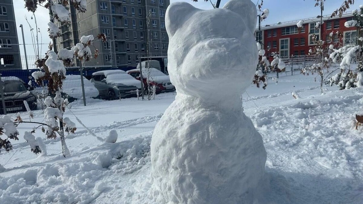    Новый год начнется со снегопада в Ставропольском крае   1MI