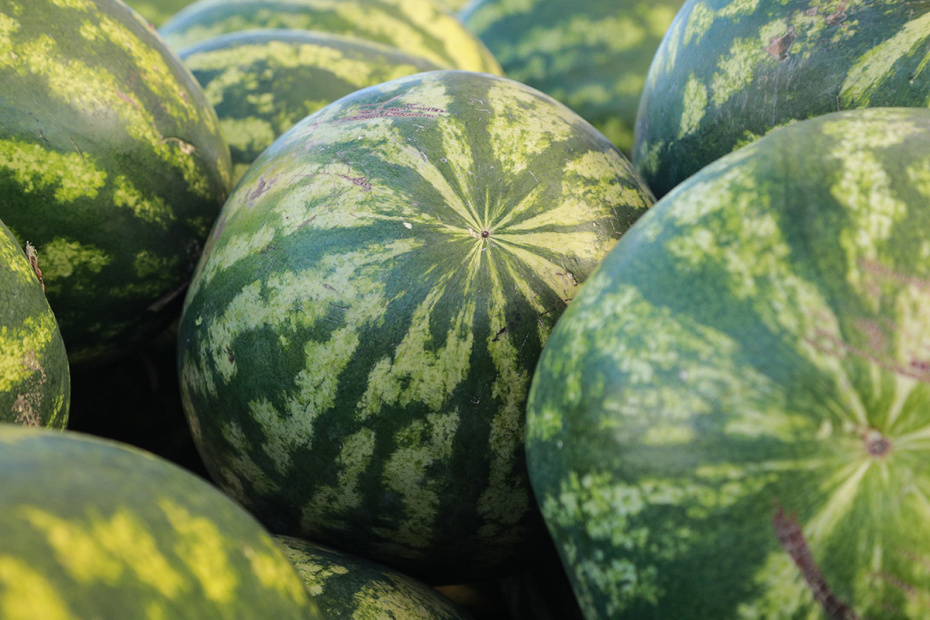    Сергей Булкин/NEWS.ru