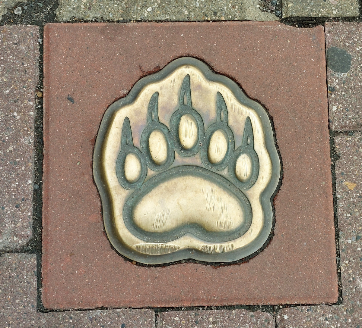 Указатель в виде медвежьего следа, Ярославль 