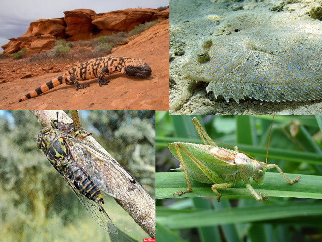 из открытого источника