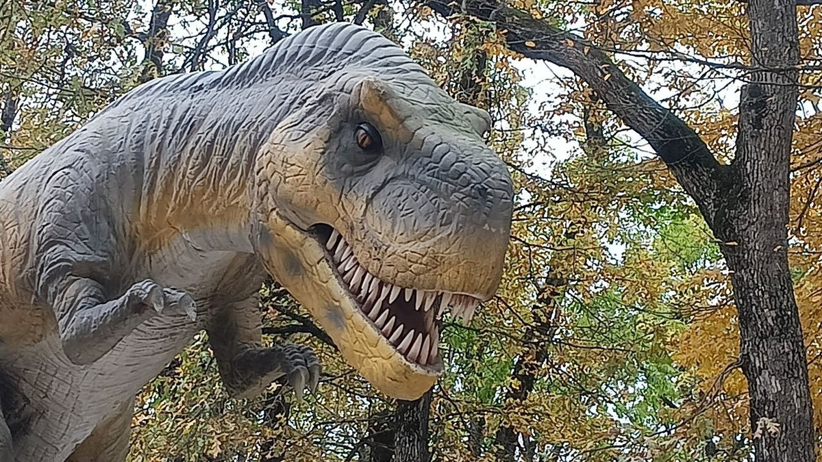     Фото: "МК в Питере"