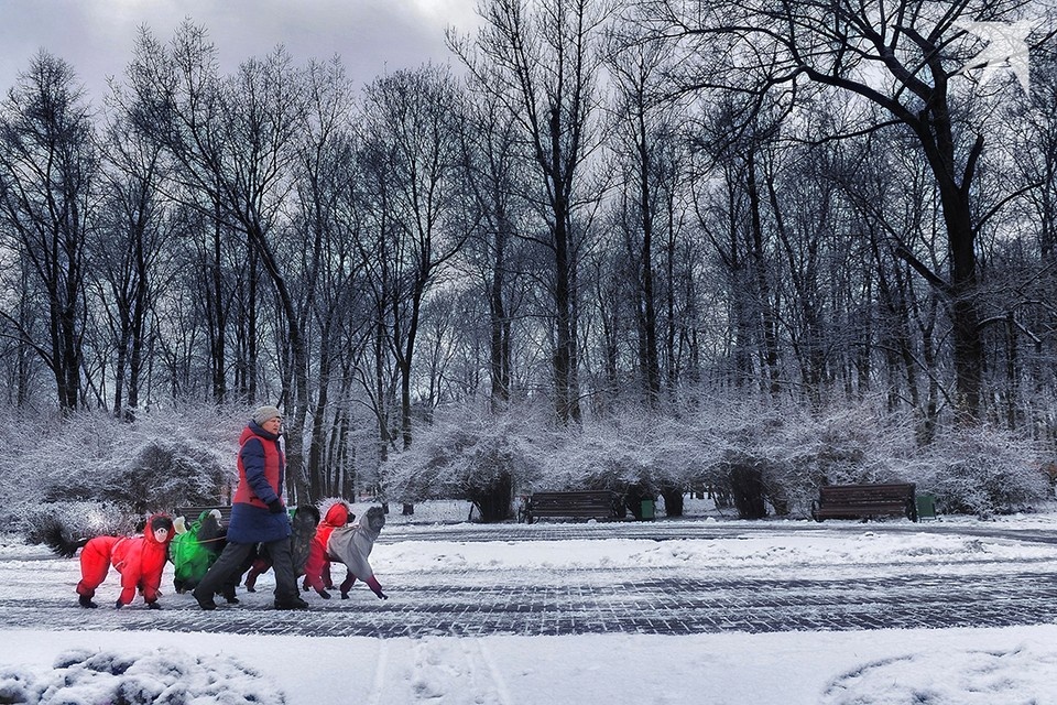    В январе будет теплее климатической нормы. Фото: архив. Иван МАКЕЕВ