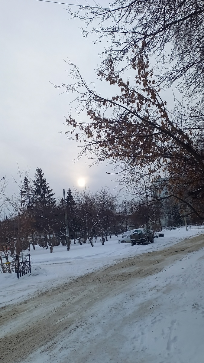 Собственное фото