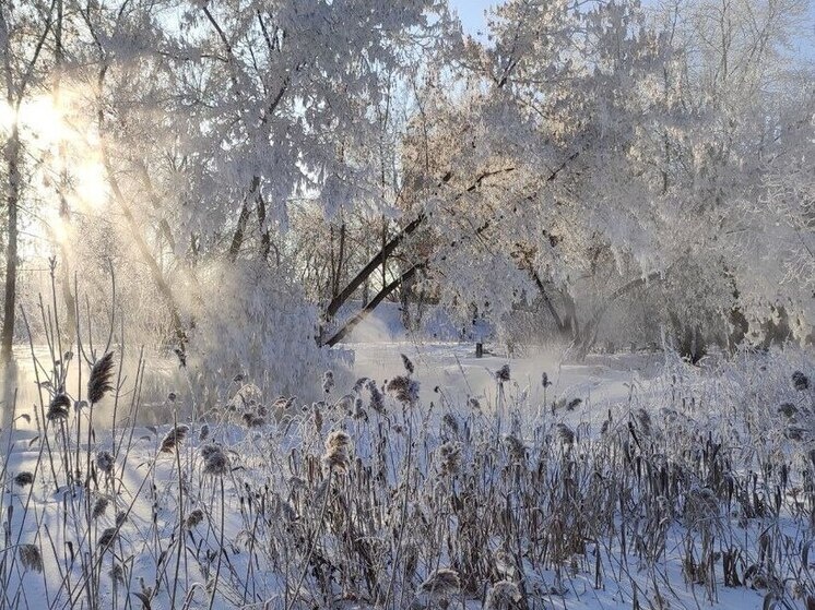     Фото: Om1.ru / Виктория Корнеева