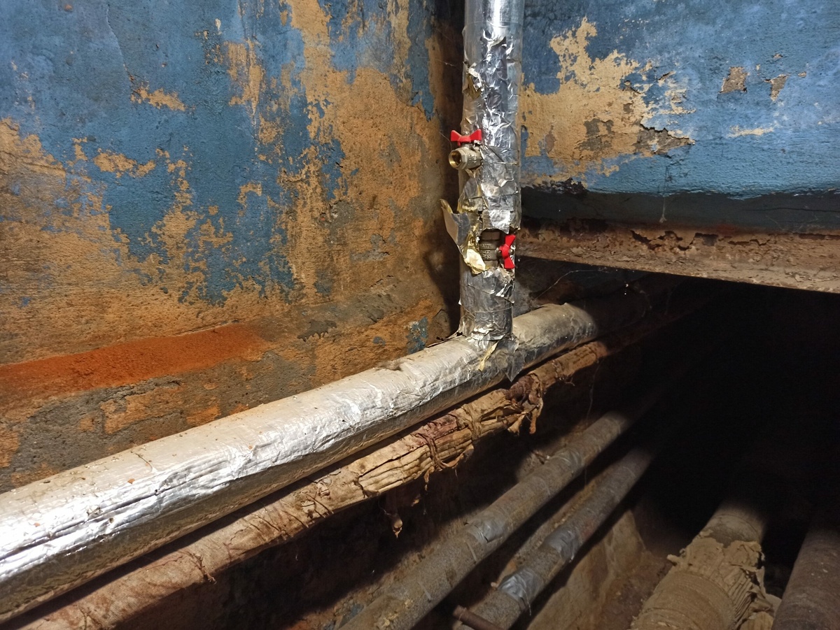 Фото: Neva.Today