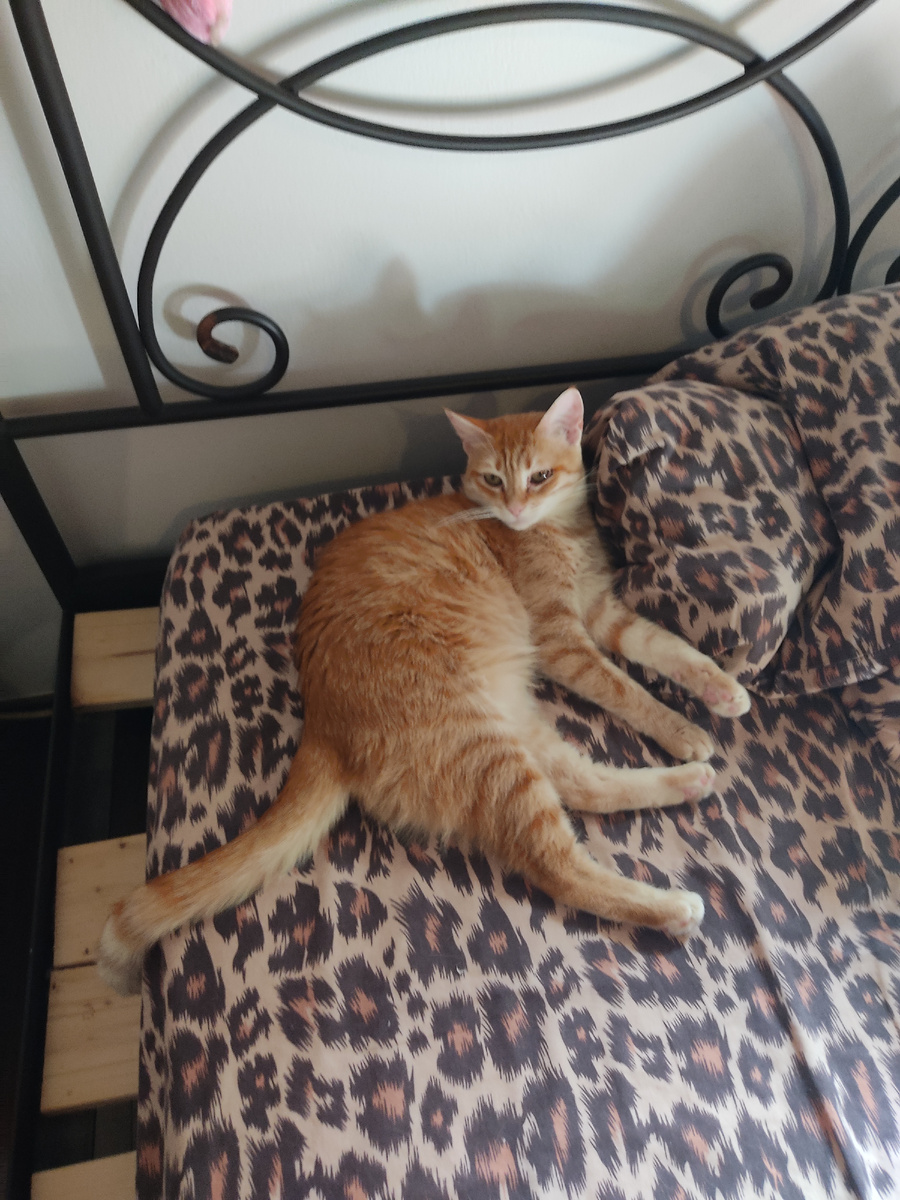 Дина. До того как все стало сложно.