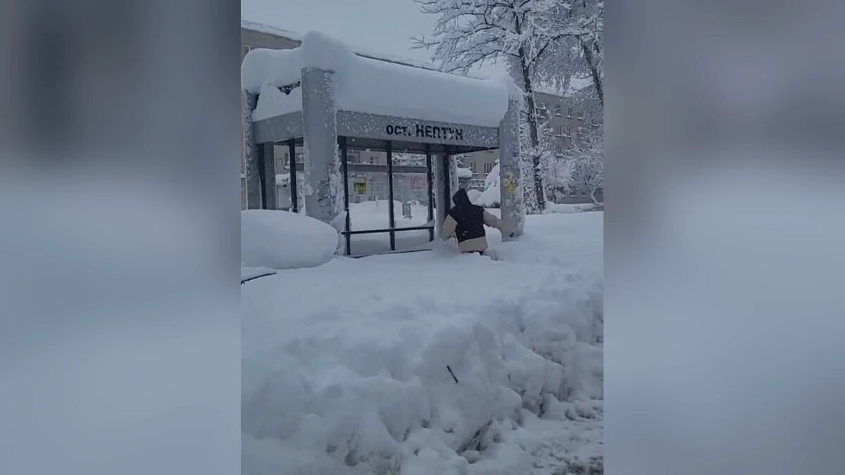    Скриншот видео t.me/belorechensk_online