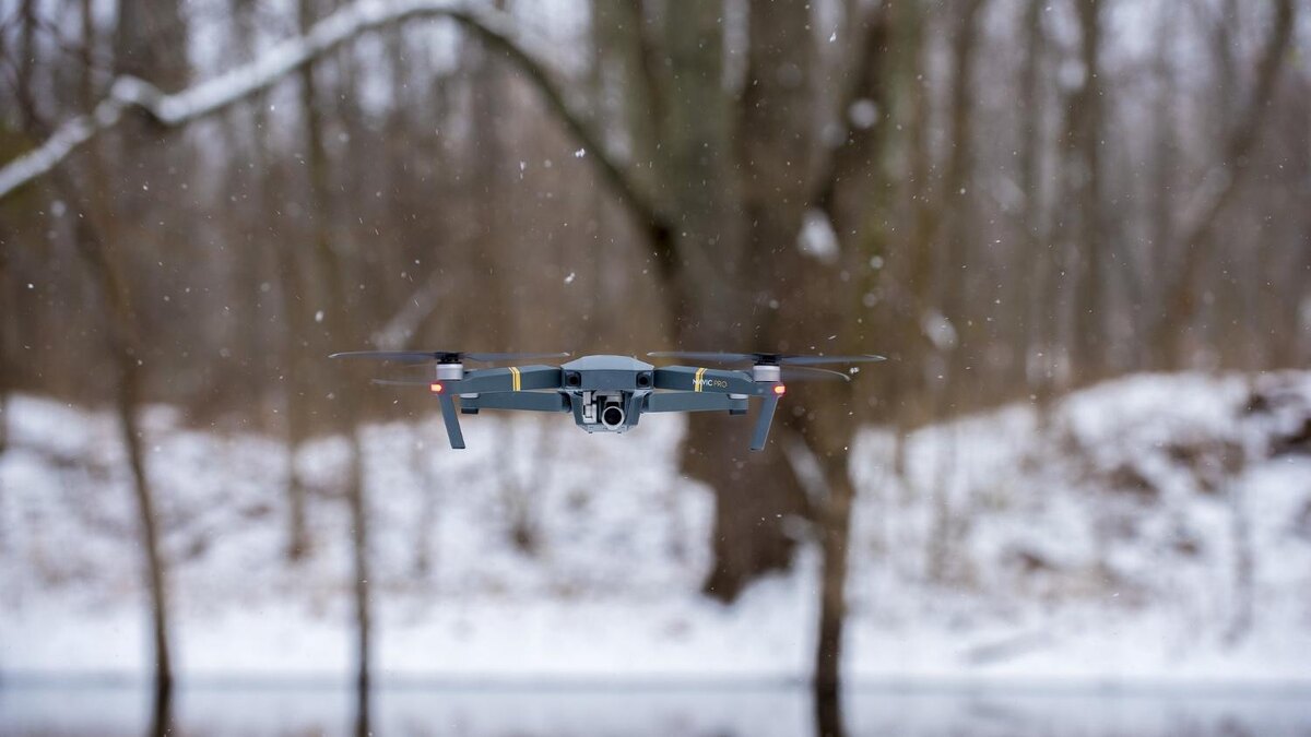    Фото: freepik.com