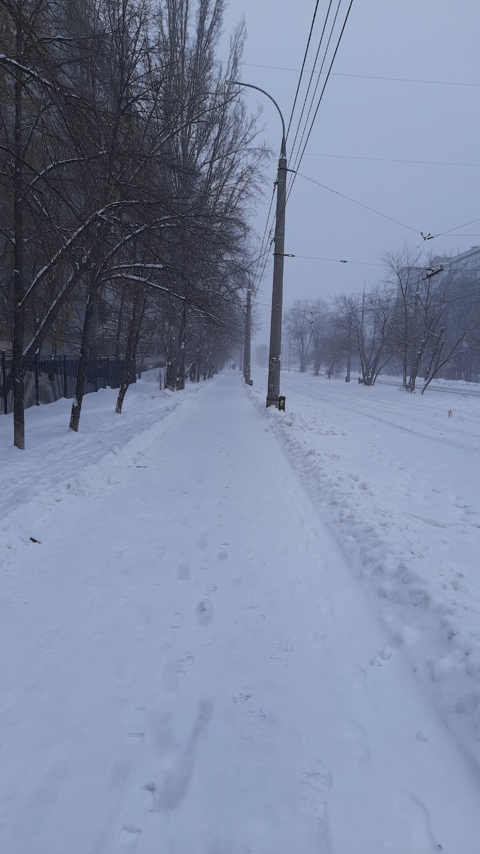Сегодня шёл мелкий снег. Фото автора.