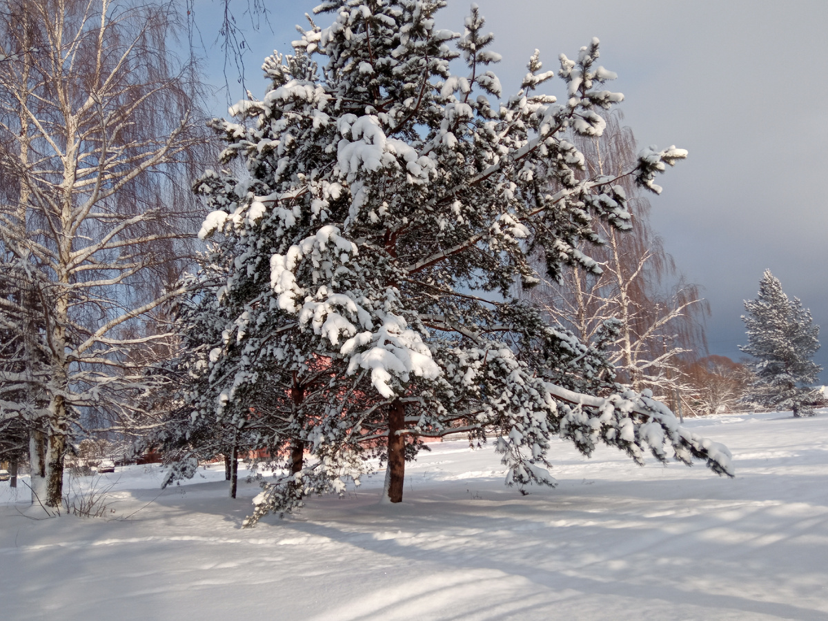 Зимняя сказка