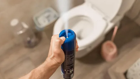 Запах в туалете? Зажгите спичку. Старый трюк сантехника работает лучше любого освежителя